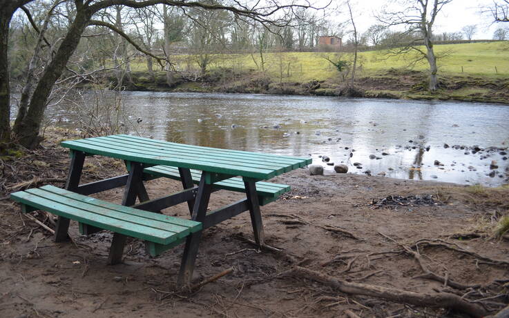 Riverside vandals rip out beauty spot bench