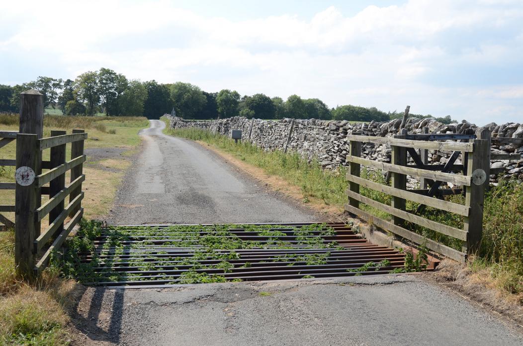 POOR STATE: The cattle grid on the lane from Sleightholme to Gilmonby.