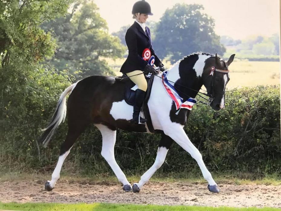 HIGH HOPES: Charlotte Merrigan Martin was crowned British dressage champion in her class on her horse Volatis Diva. She hopes to represent Team GB