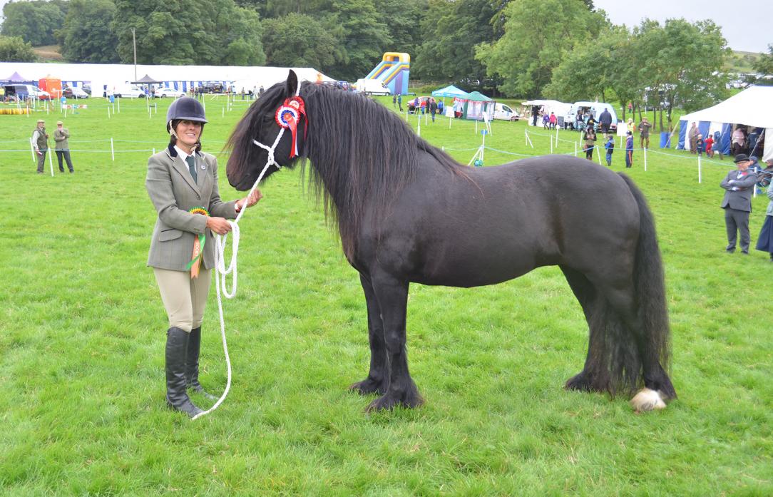 ALL SMILES: Alison Eccles holds Westwick Polly, which was judged the champion Dales Pony on show TM pic