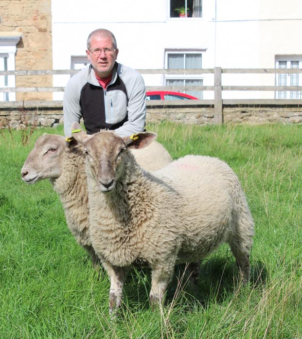 SATISFACTION: Tim Madgwick says there is a feelgood factor about keeping sheep