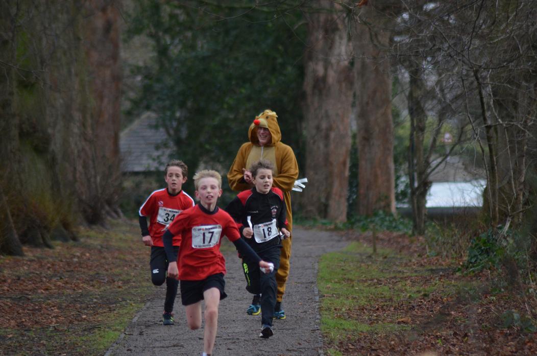 ON THE RUN: Runners will be chasing down reindeer - and hoping to win a prize