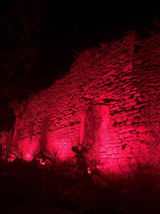 LIGHTING UP: Old Well landlord Roy Chatterjee is offering customers an illuminated castle wall as part of their evening out