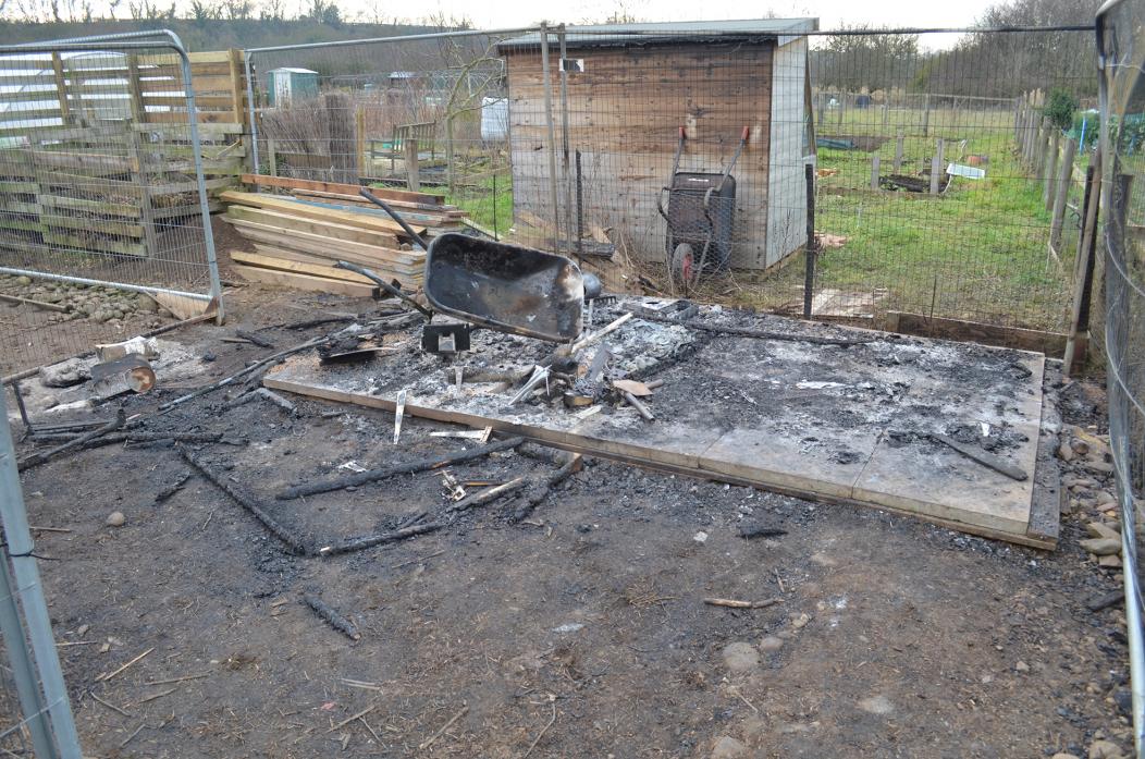 WORRYING: Damage done at Gainford allotments last month
