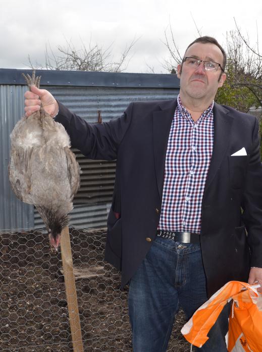 Allotment holder John Moore with one of the birds which was killed during raid on plots in Barnard Castle.
