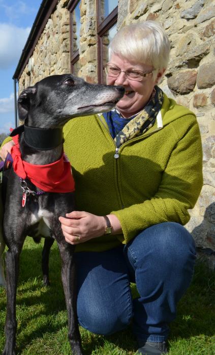 SPECIAL DELIVERY: Sheila Wylie with May, a former racing greyhound who is now helping others by giving blood