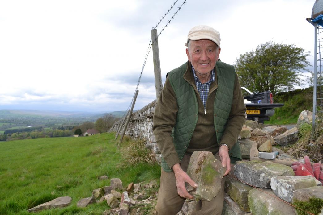 TURN TO STONE: Lewis Staley is still building and repairing dry stone walls after seven decades