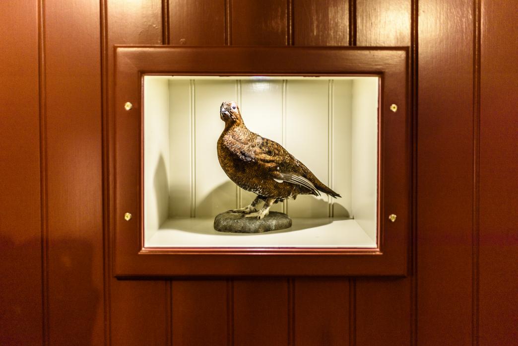 A stuffed red grouse in place to pay homage to local produce available from the estate