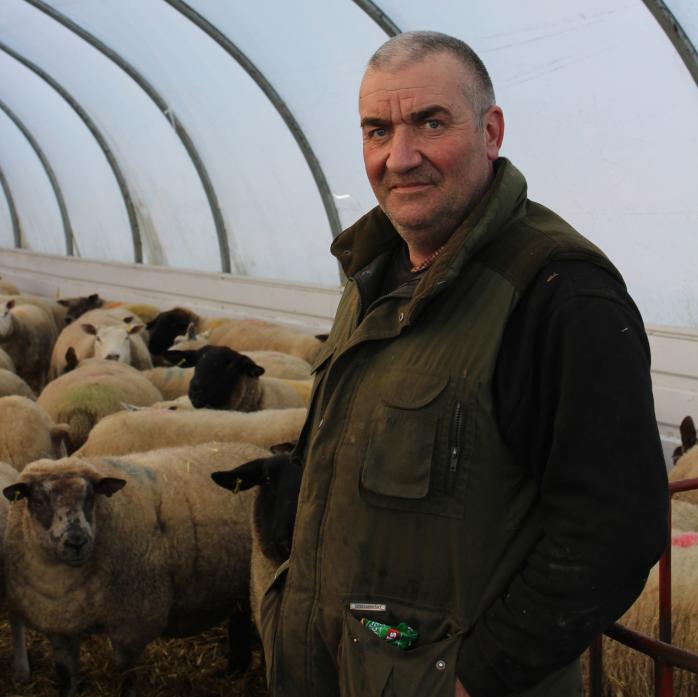 EXPERTISE: Robin Williamson farms at Littleburn, Hamsterley, concentrating on Continental cattle and sheep