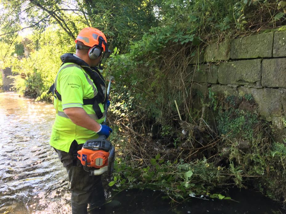 HISTORIC SITE: Clearing up vegetation on the Gaunless Bridge abutments was part of the clean-up exercise