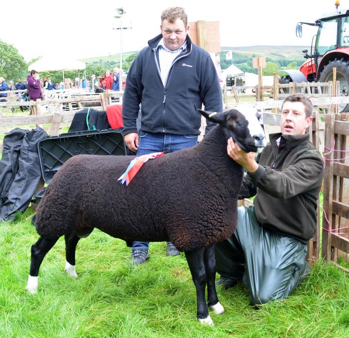 SECOND TO NONE: Peter Addison with his Zwartble which took overall reserve. Breed judge Thomas Birkbeck looks on