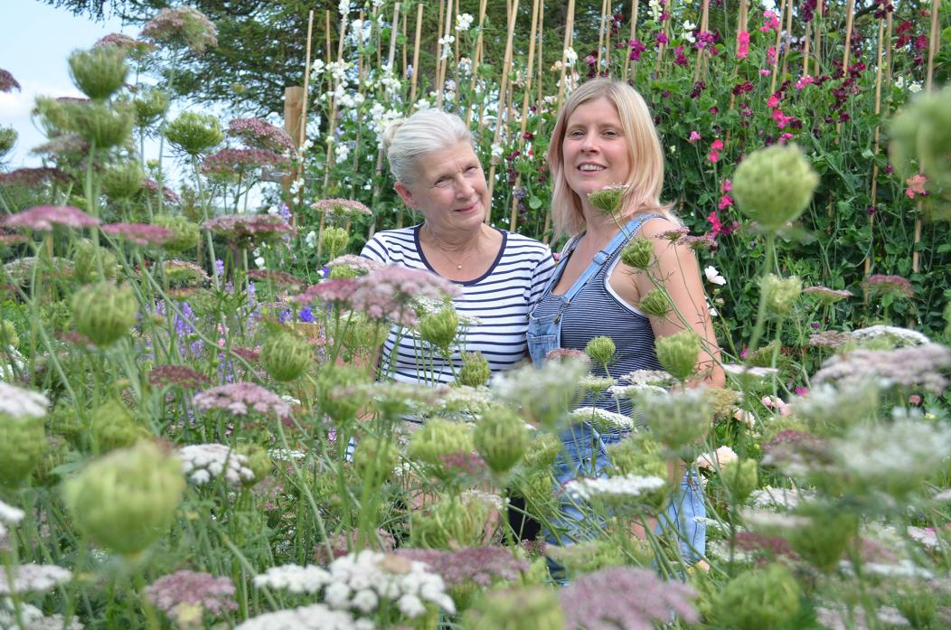 BLOOMING: Heidi Varley and her mum Pat among the blooms at Pink’s Flower Farm