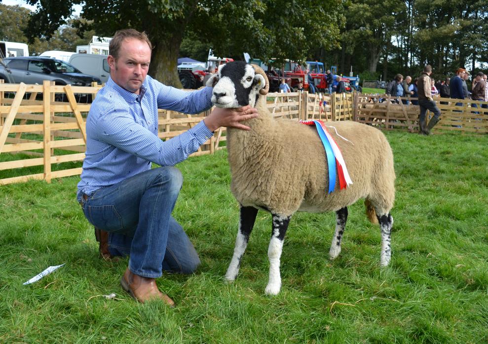 TROPHY WINNER: Robert Hutchinson's ewe to have reared a lamb was judged champion female Swaledale, local champion, breed champion and then overall sheep champion at Bowes Show                     									             TM pic