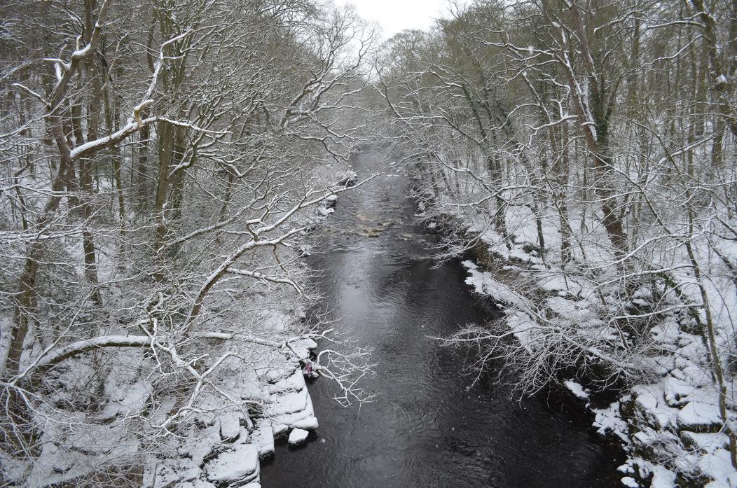 WINTER WONDERLAND: The Tees, looking downstream from the Abbey Bridge