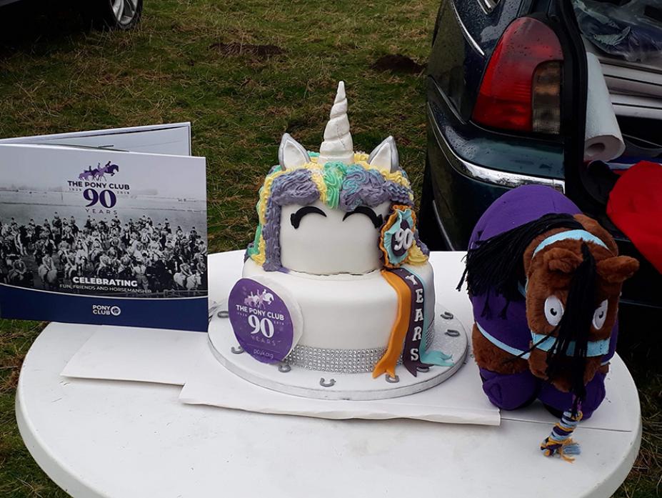 HAPPY BIRTHDAY: The Zetland Hunt Pony Club cake to mark a special anniversary