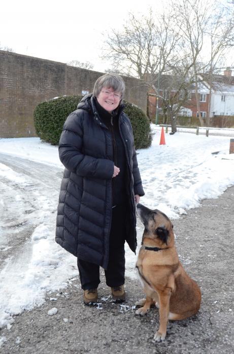 WARNING: Jill Hirst and her Belgian Shepherd Kujo, which was left ill after finding what is believed to be a drug stash hidden in a hole in Middleton-in-Teesdale