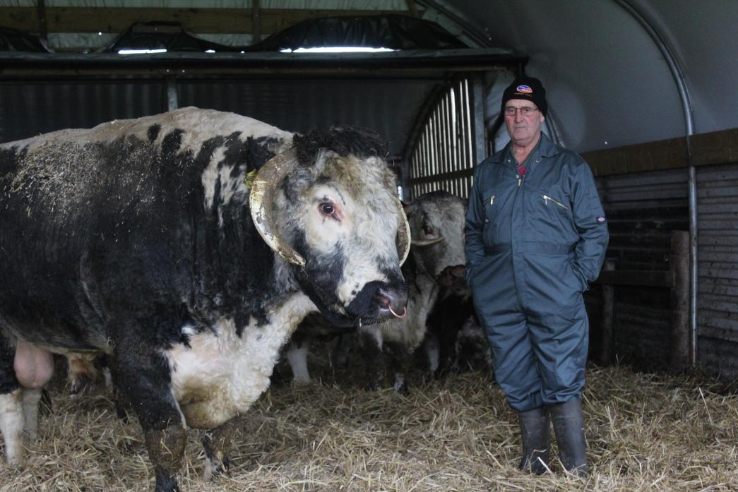 FARMING PASSION: Denis Metcalf with his longhorn bull   TM pic
