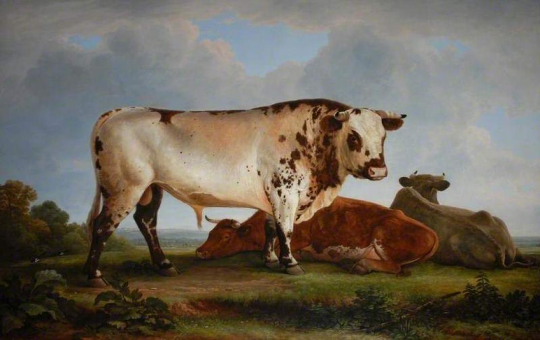 NATIVE BREED: Shorthorn Cattle, known as The Bull, measures 255.5cm by 365.5cm and is on display at The Bowes Museum