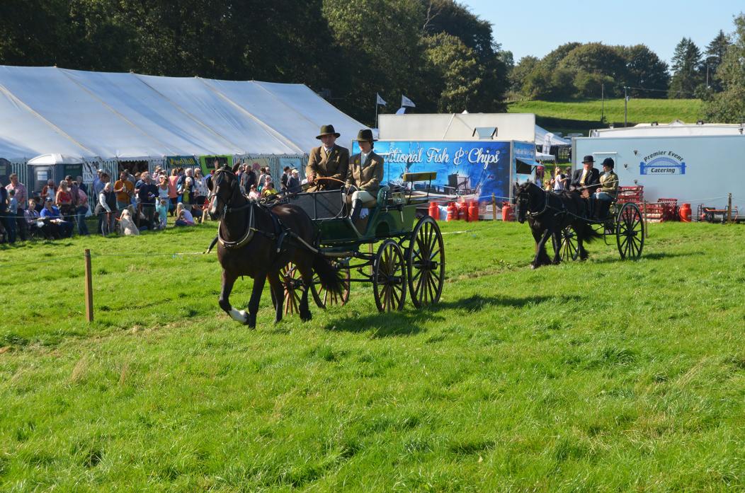 NEW CLASSES: A tradesman’s class will complement the carriage driving section at next year’s Eggleston Show, which will feature a number of new attractions			              TM pic