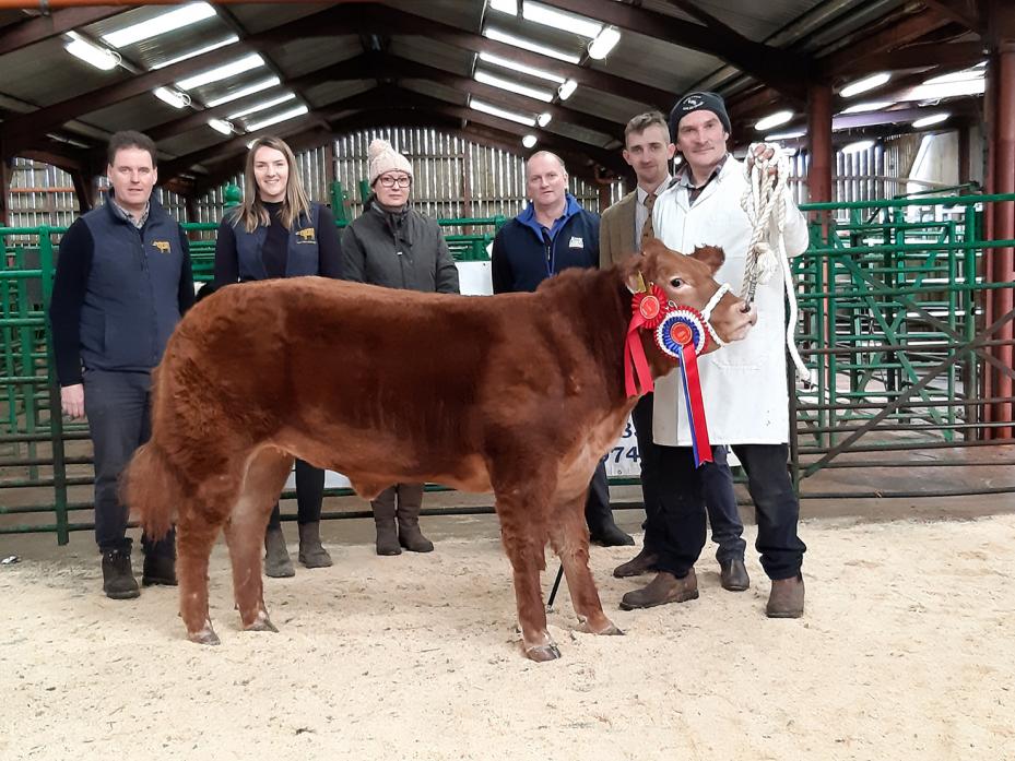 GOOD SHOW: Pictured with the champion, a ten-month-old Limousin cross heifer, are, from left, Mark Marley, Annie Stones, of Jamesons, Jane & James Bainbridge of BB Dairy, judge Alistair Twell and vendor John Smith-Jackson