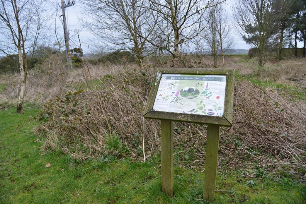 REALLY WILD: The state of the wildlife area in Etherley had drawn concerns from a villager