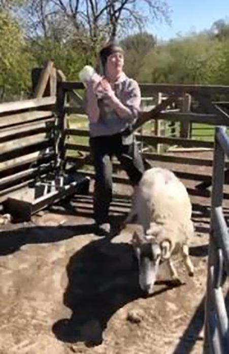 SERIOUS MESSAGE: Barnard Castle Young Farmers put together their version of the Toilet Roll Challenge video using milk bottles