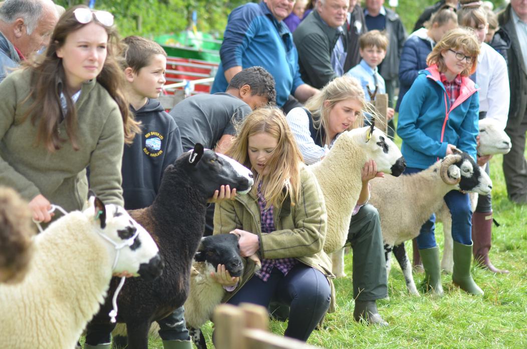 NO GO: This year’s Brough and Reeth shows in August have been cancelled due to the ongoing coronaviru lockdown uncertainty. Pictured above are young handlers at last year’s Brough Show, which attracts entrants and visitors from a wide area