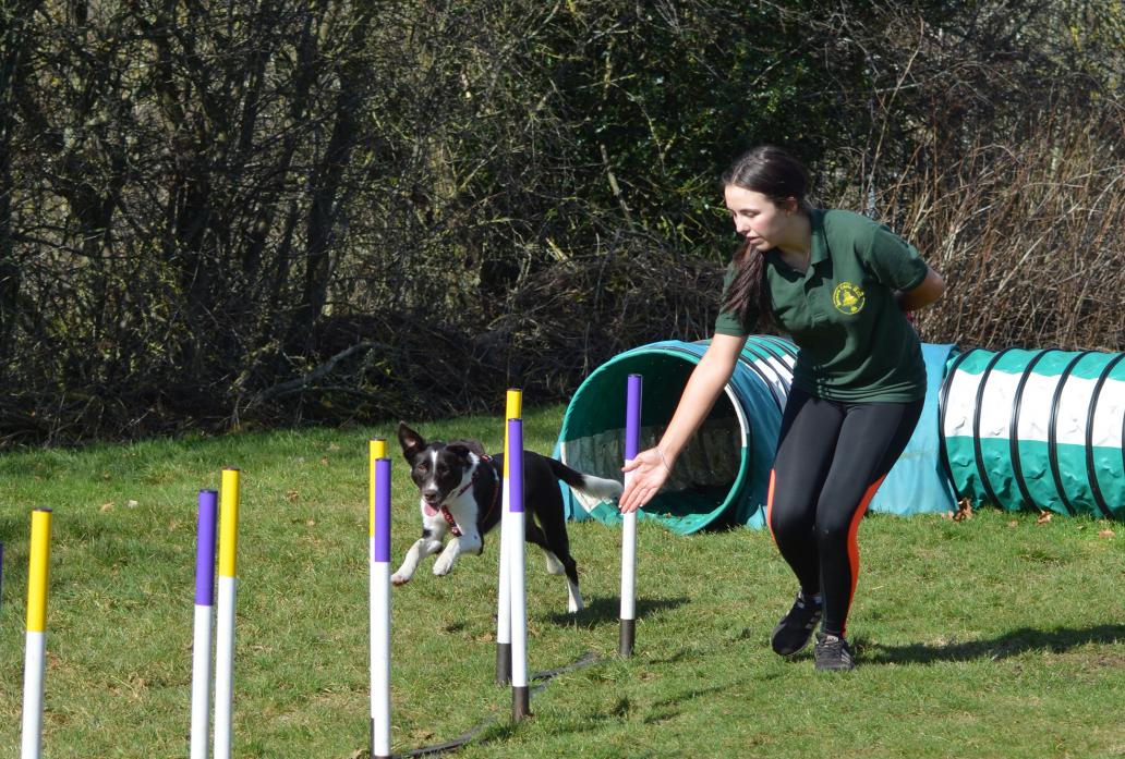 LEARNING CURVE: Rosanna Duarte with border collie Ruby. Ms Duarte aims to train Ruby for competitions