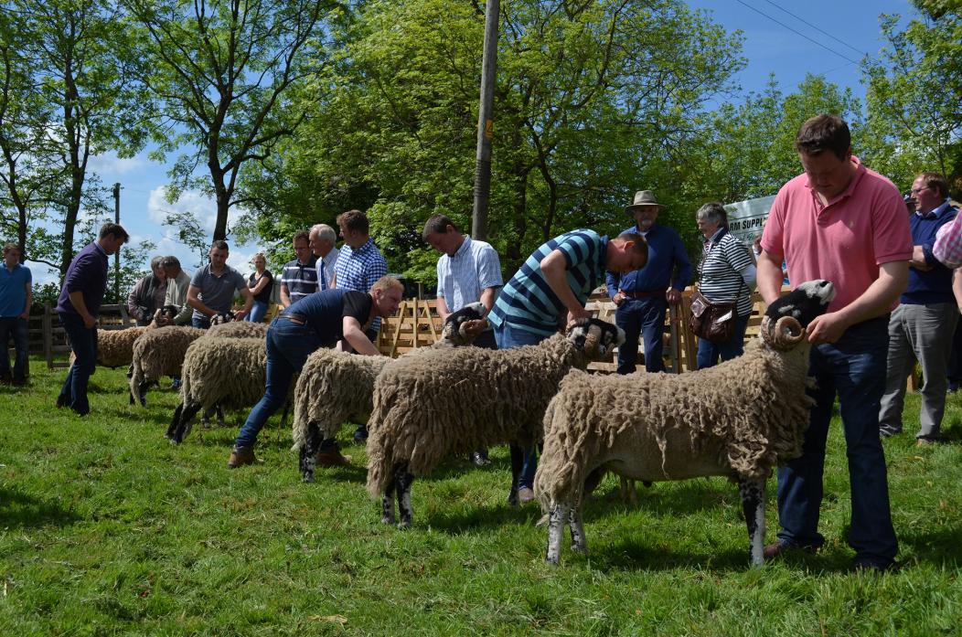 GREAT DAY OUT: Whether a farmer or visitor, a day out at one of the shows – such as Stainmore, above, is a great occasion