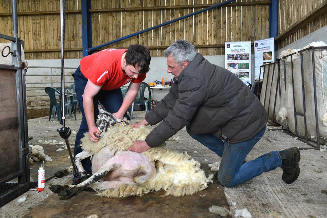 TRAINING TIPS: Sheep shearing is just one of the training opportunities available at Utass. Pictured at a previous session is Jacob Watson under the watchful eye of trainer Brian Copeland