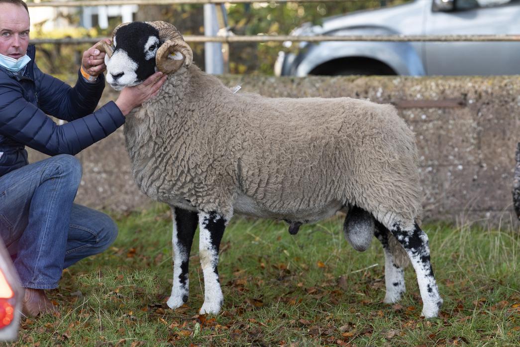 GOOD PRICE: Robert Hutchinson, from Valley Farm, Bowes, with the Swaledale ram that sold for £24,000 at the annual SSBA sale  Pic: Wayne Hutchinson