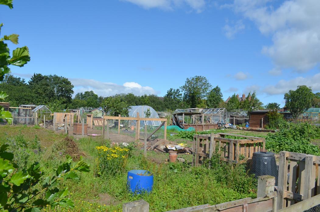NEW REGIME: The number of sheds and other structures at Gainford allotments was discussed by parish councillors