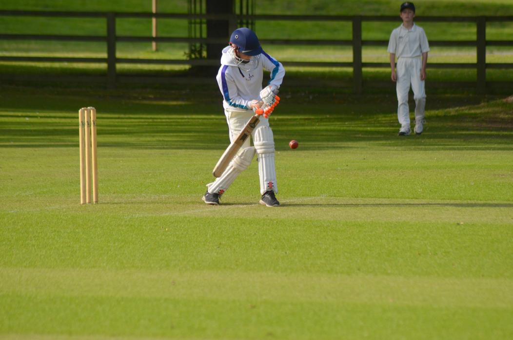 BUSY SEASON: Raby Castle CC will run a number of junior sides next season