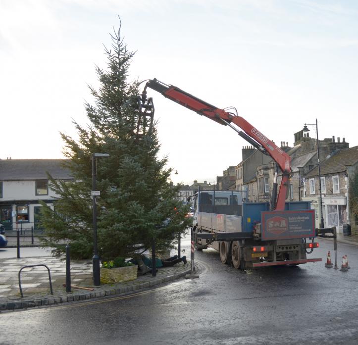 CHRISTMAS TIME: The tree gets put into place in Barnard Castle on Saturday
