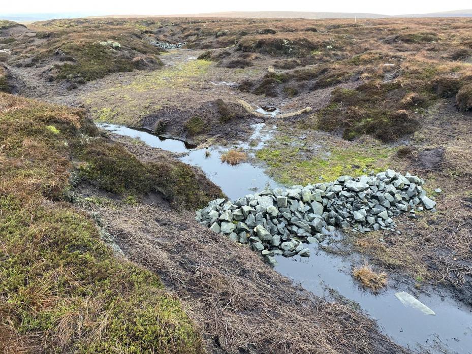 FIGHTING CLIMATE CHANGE: stone weeping walls positioned to reduce water run off on moorland at Raby Estate