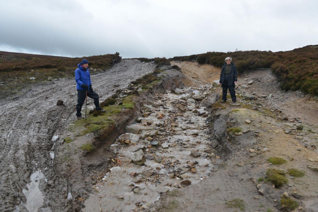 DAMAGED: Neil Malkin and John Stephenson examine a new track 4x4 drivers have carved into the heather and peat on Pikestone Fell, near Hamsterley Forest