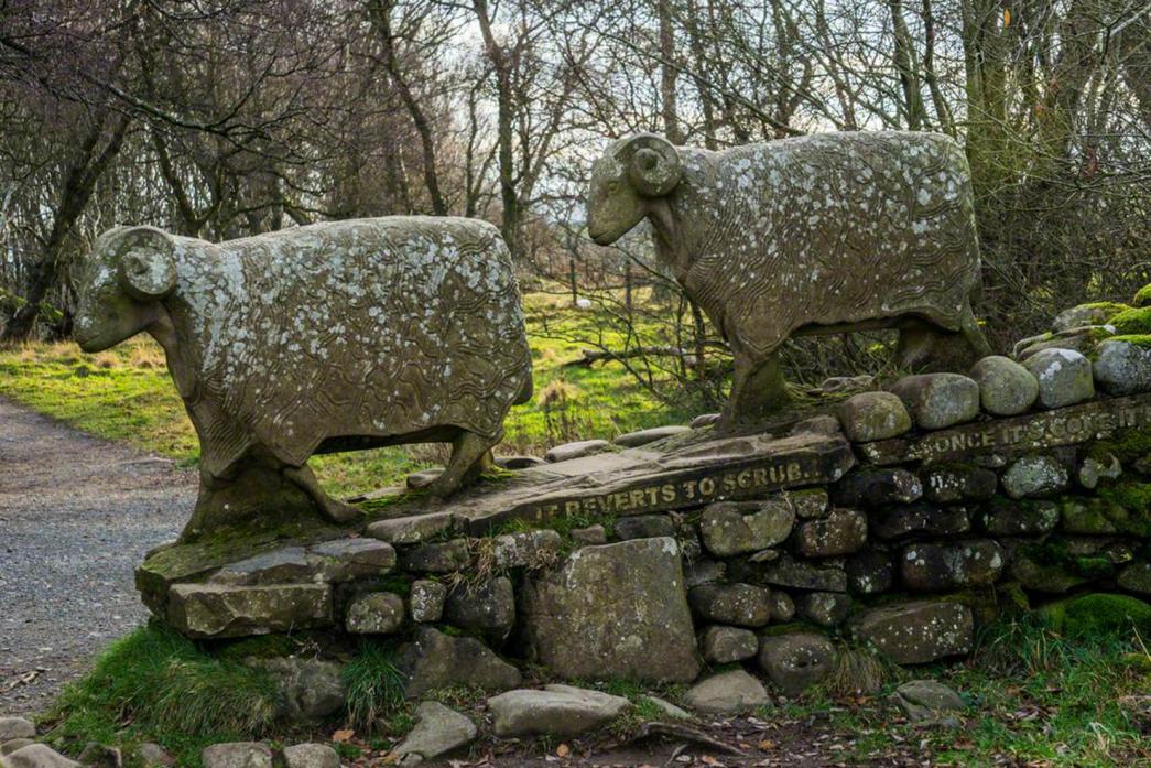 WELCOME SIGHT: Left, Pleased to see Ewe, by Keith Alexander