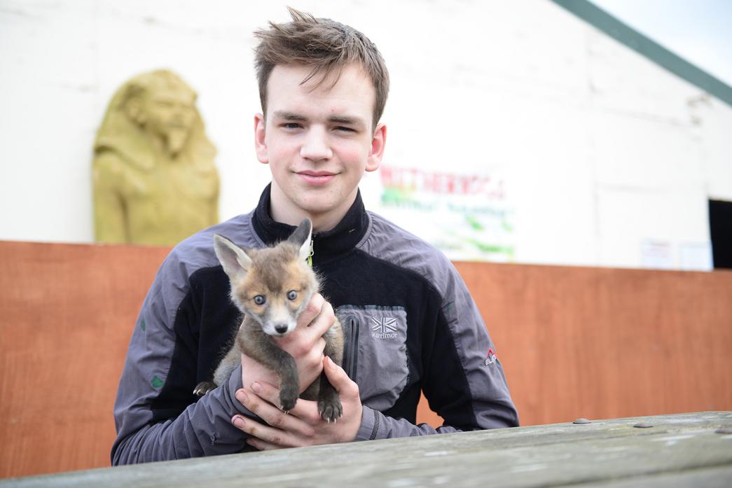 ANIMAL RESCUE: Nathan Bowes, of Wetheriggs Animal Rescue Centre, with Hunter the fox cub, which will visit schools in Teesdale