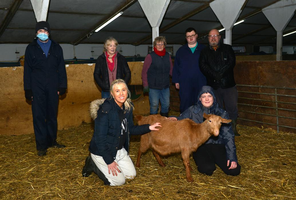NEW SPRING LIFE: Volunteers at Wetheriggs Animal Rescue centre with the rare golden Guernsey goat that is expecting