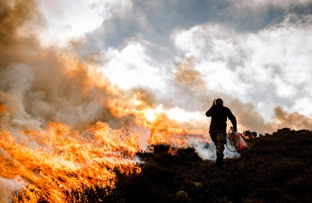MOORLAND WORK: Heather burning in the North Pennines