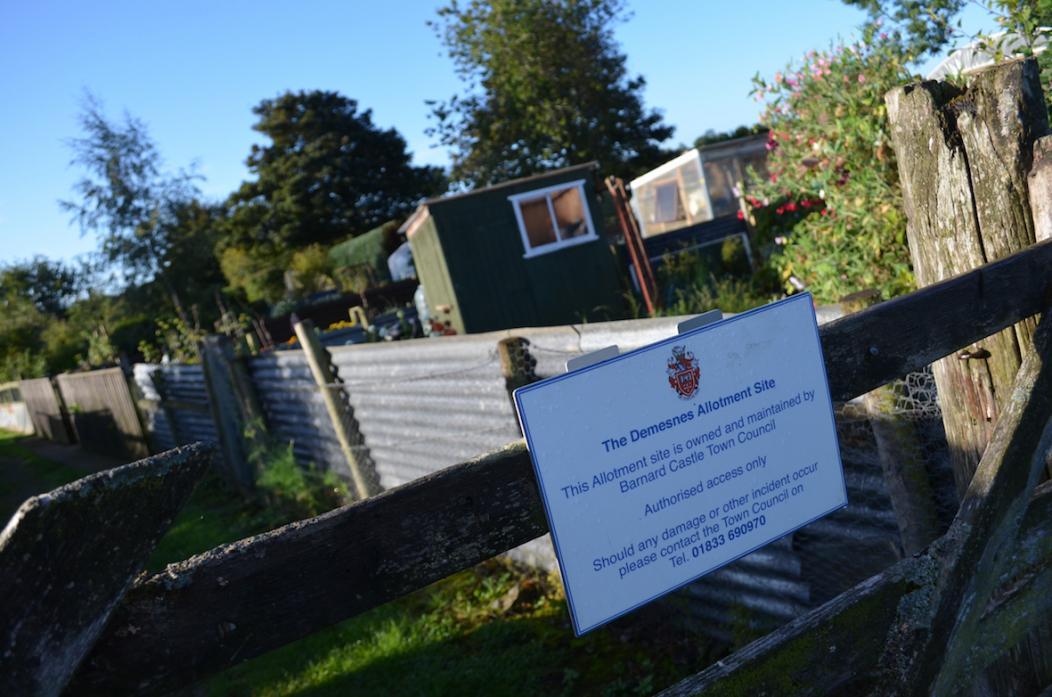 IN DEMAND: Barnard castle Town Council runs a number of allotment sites around the town including those at the Demesnes