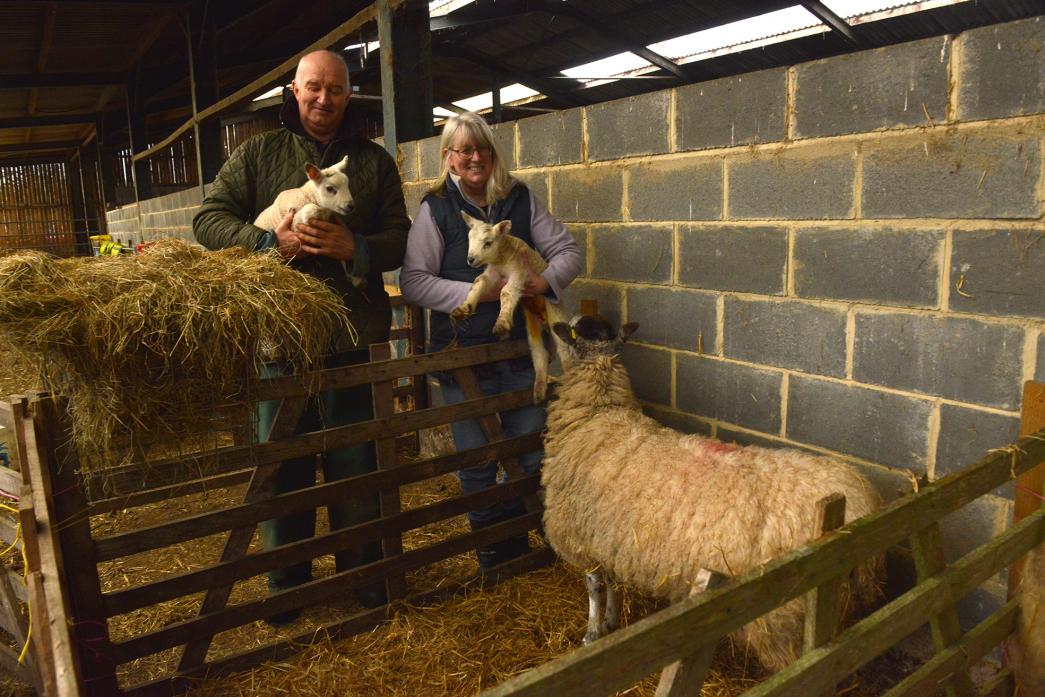 NEW SEASON LAMB: Stephen and Alison Lamb with the first two newborn lambs to be born at their farm this year