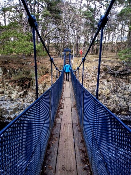 LOFTY VIEW: Walkers enjoy fantastic views of Low Force when they cross the Winch Bridge at Bowlees