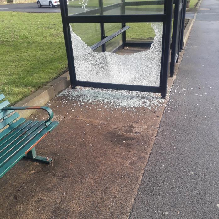MINDLESS: One of the bus shelters in West Auckland