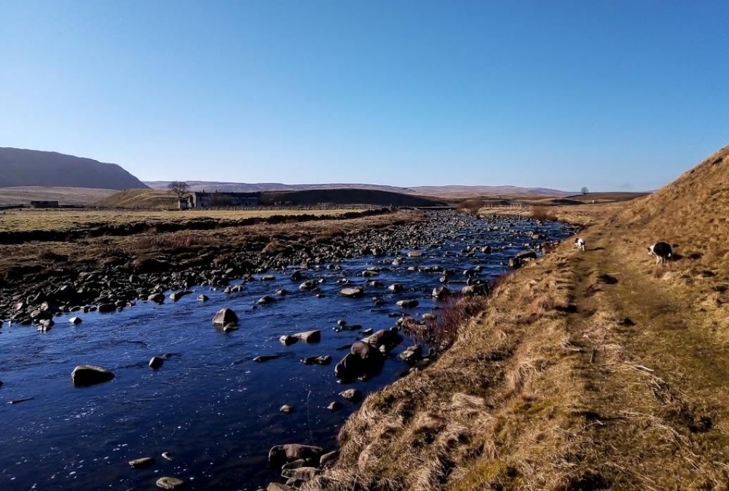 WILD AND RUGGED: The stunning landscape of Forest in Teesdale
