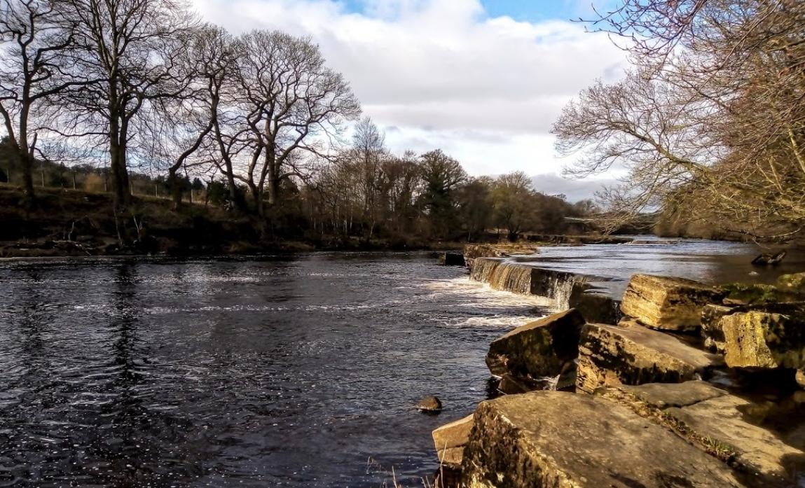 LOVELY SCENE: The falls on the River Tees at Whorlton