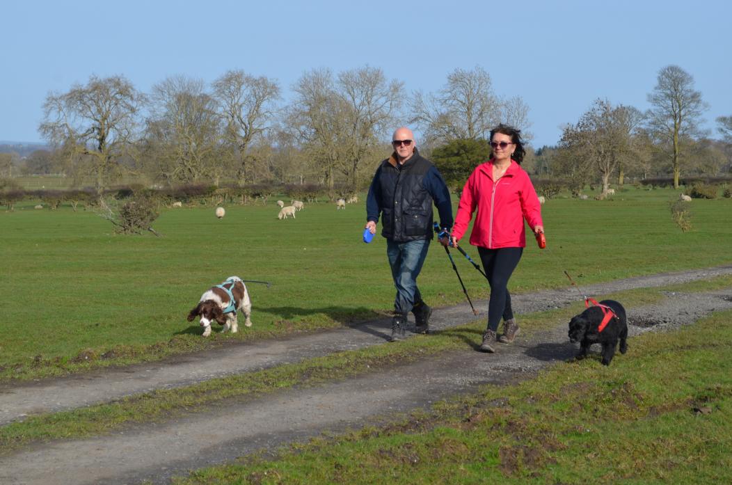 WALK THIS WAY: Terry and Julie Race, from Boldron, regularly exercise their dogs in the countryside, but ensure they are always on a lead when there is livestock about