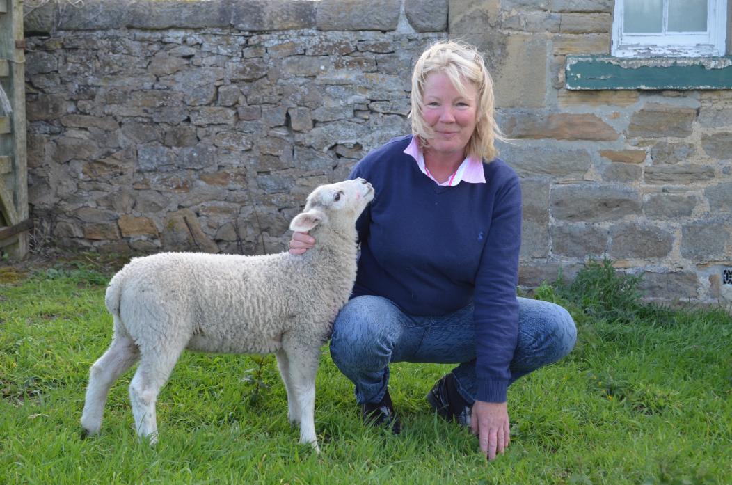 CONCERN: Smallholder Sharon Logan with one of the lambs which survived the dog attack in Gainford last week