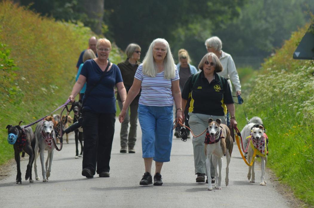 STEPPING OUT: Carroll Trevor, right, with Amber, along with Glynis Laidler and Sheila Wylie, at a previous Great Global Dog Walk round Hutton Magna. The event returns in September					  			     TM pic