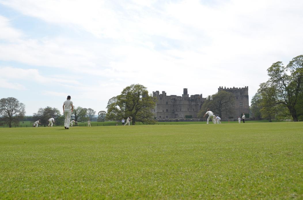 GREAT SETTING: Raby castle cricket pitch in the foreground of the castle